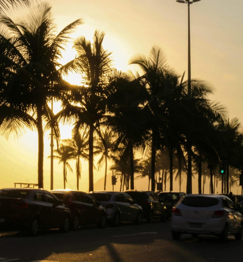 pexels-iryna-olar-1411337-10357370